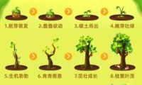 苹果树幼苗生长周期多长_苹果树苗多长时间能发芽